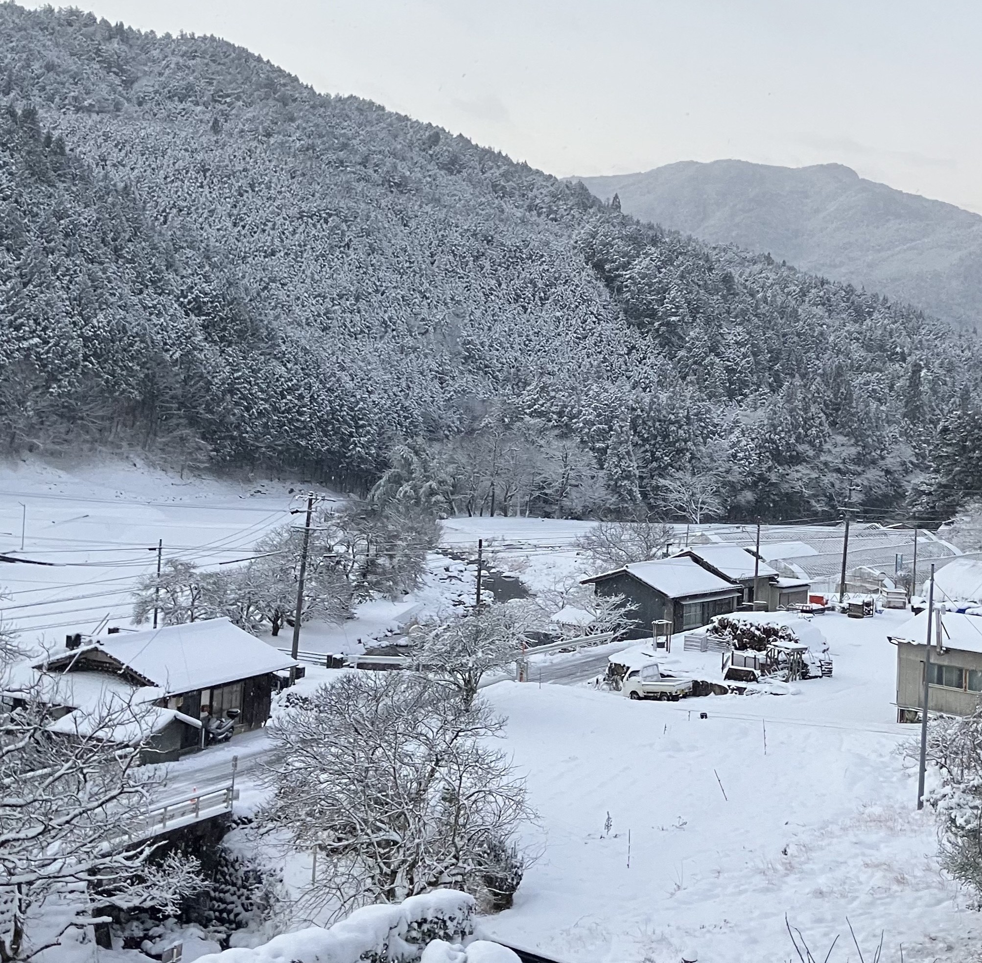 ふくら雀と大寒波
