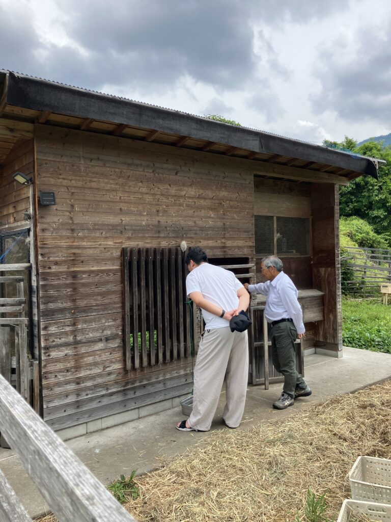 山羊とニワトリの小屋見学